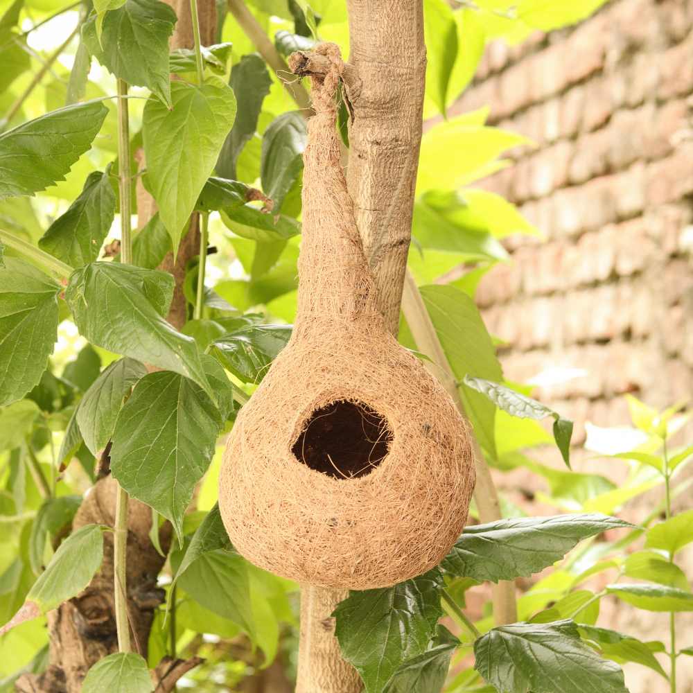 Bird Nest | Bird Feeder | Garden | Natural Coir-Made | 14 Inch