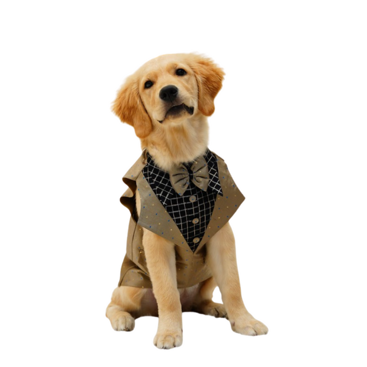 Dog Tuxedo | Hand-Woven Cotton | Khaki & Black | Hand-Made | S-M-L-XL