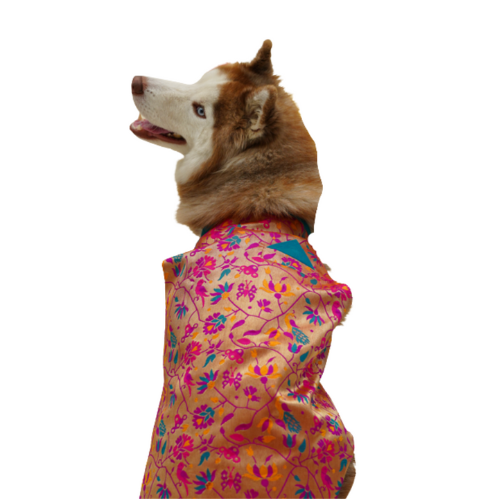 Silk Paithani Sherwani For Your Pet |  For Him | Pink | Hand-Made | S-M-L-XL