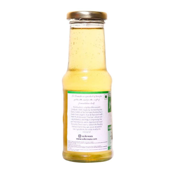 Handcrafted Curry Leaf Ginger Kombucha | Organic | Probiotic | Gut Health | 200 ML