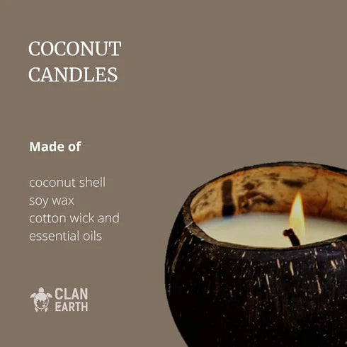 Gift Set | Dodo Wallet | Soy Wax Coconut Shell Candle 