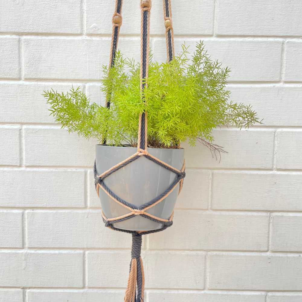 Bohemian Style Hand-Crafted Hanging Planter | Macrame | Hand-Made | Assorted Colours | 36 inch