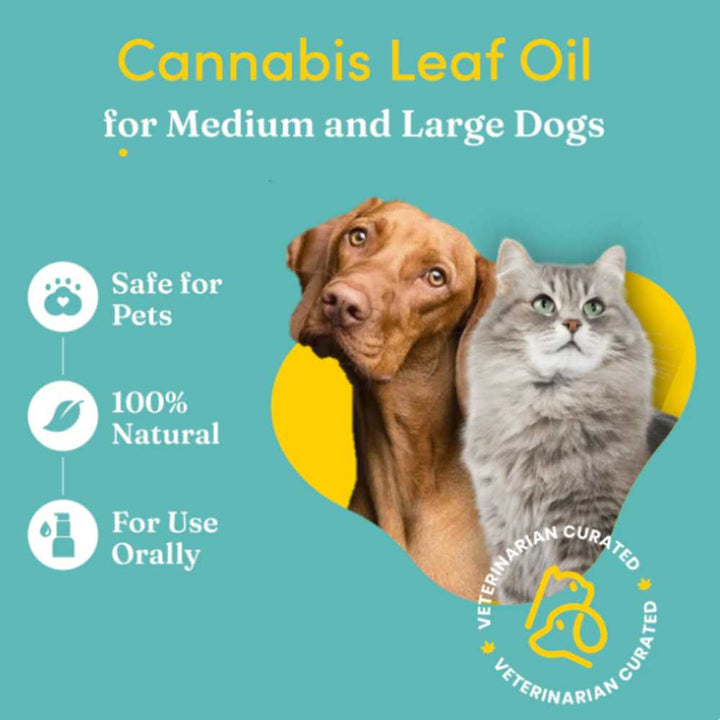 Dog & Cat Pain Relief Oil | Eases Inflammation | Aides Digestion | Strong | 30 ML