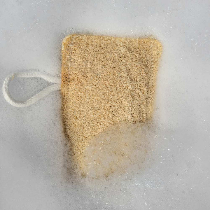 Rectangular Loofah Pack Of 2