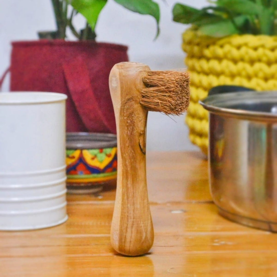 Small Handle Bone Brush | Coconut Fiber | Handmade | Kitchenware Cleaning