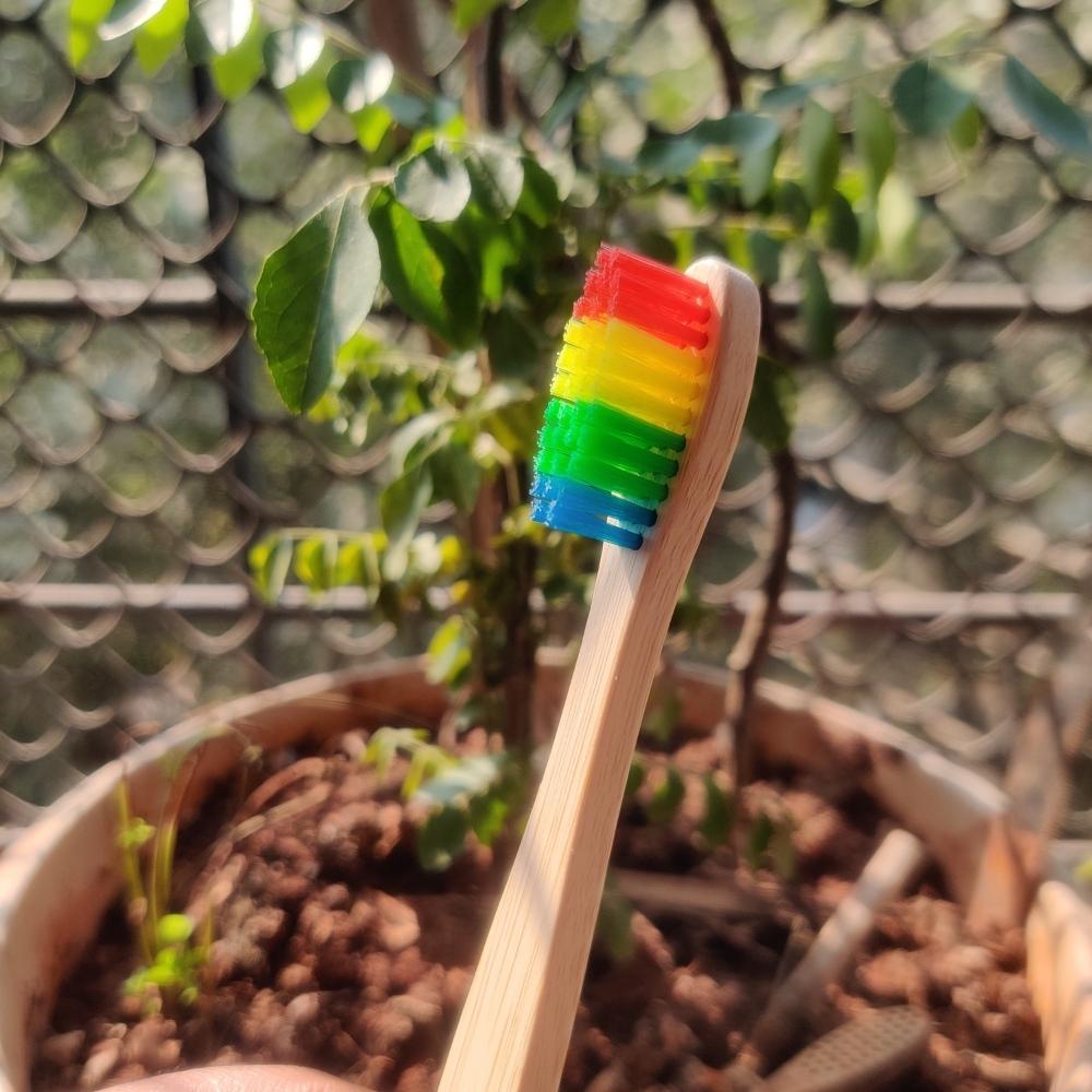 Natural Bamboo Toothbrush With Rainbow Bristles For Adults | Pack Of 2