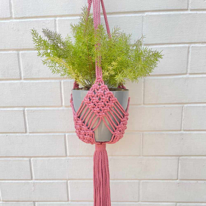 Bohemian Style Hand-Crafted Hanging Planter | Macrame | Hand-Made | Assorted Colours | 36 inch