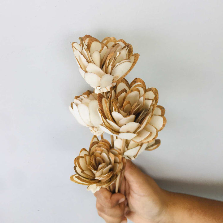 Almond Sola Flower | Home Decor | Gifting | Table Decor 