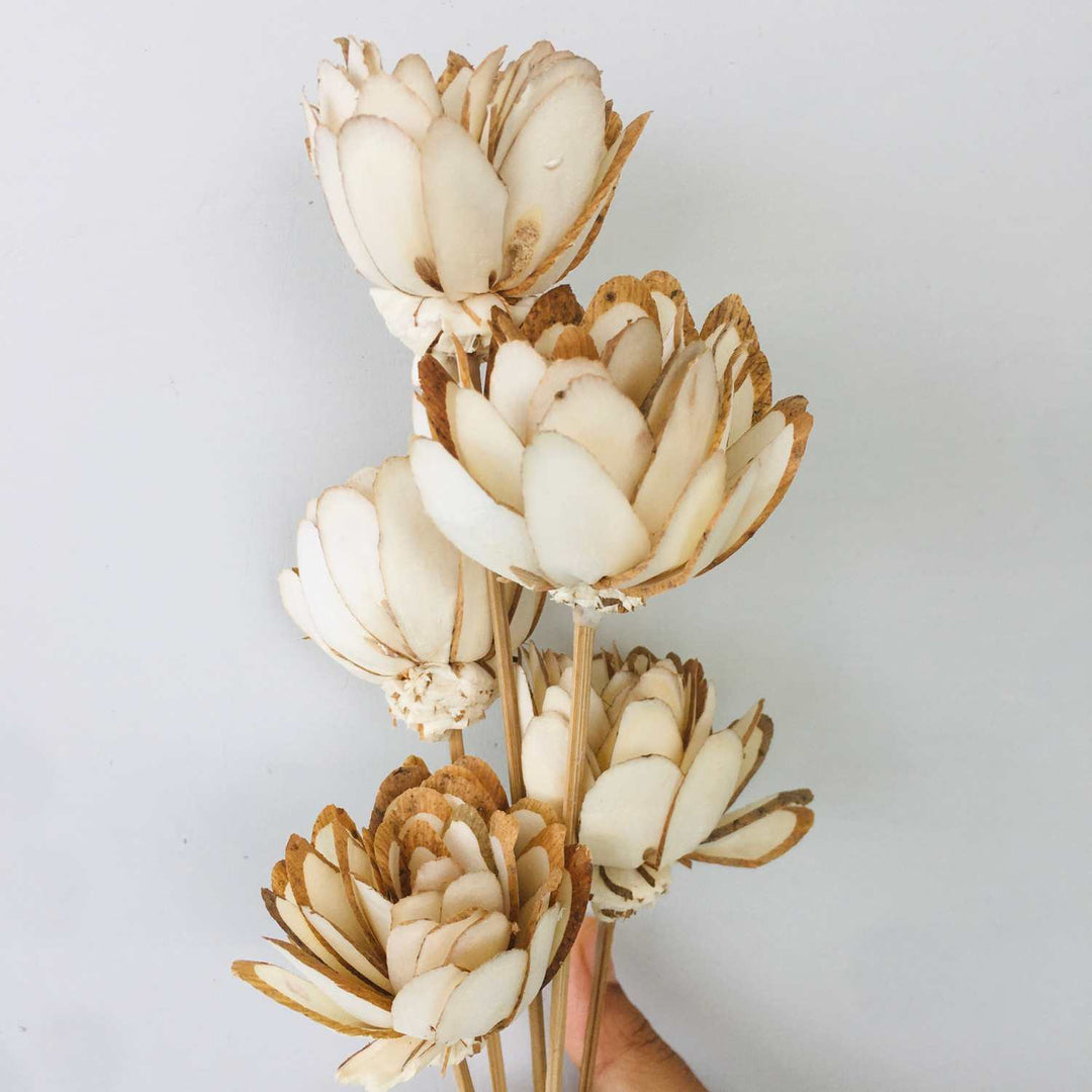 Almond Sola Flower | Home Decor | Gifting | Table Decor 