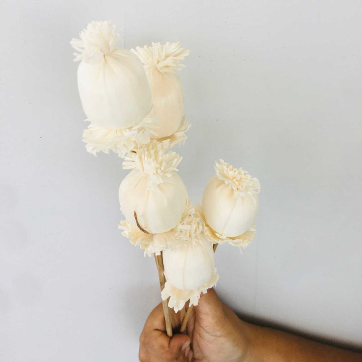 Buds Sola Flower | Home Decor | Gifting | Table Decor 