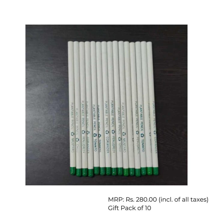 Recycled Paper Pencil | School or Office Stationery | Gift Pack of 10