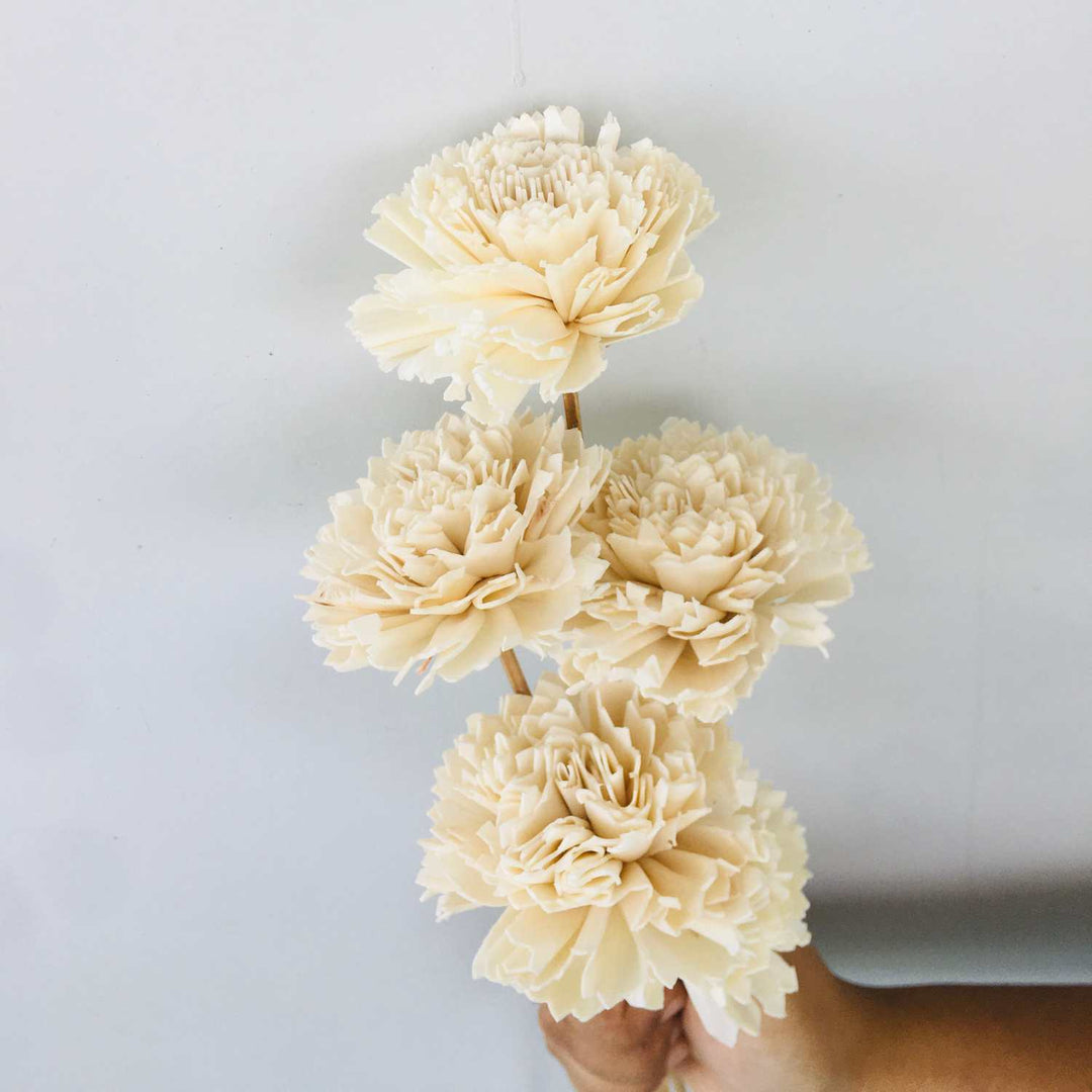 Carnation Sola Flower | Home Decor | Gifting | Table Decor