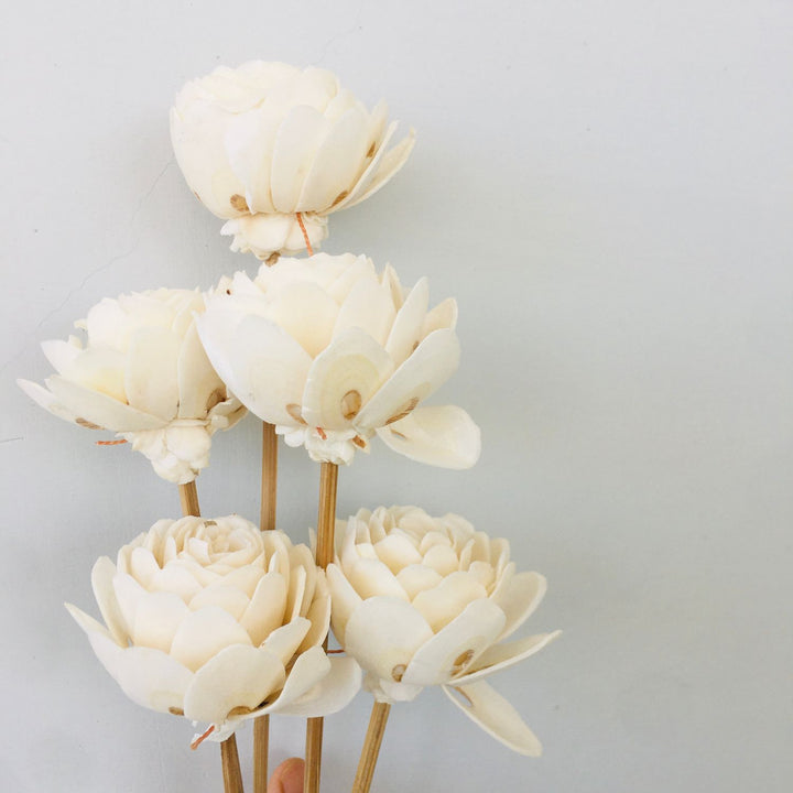 Dahlia Sola Flower | Home Decor | Gifting | Table Decor