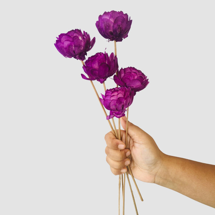 Ombre Mauve Sola Flower | Home Decor | Table Decor | Gifting