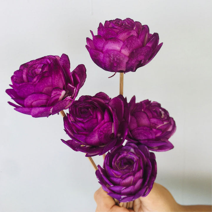 Ombre Mauve Sola Flower | Home Decor | Table Decor | Gifting