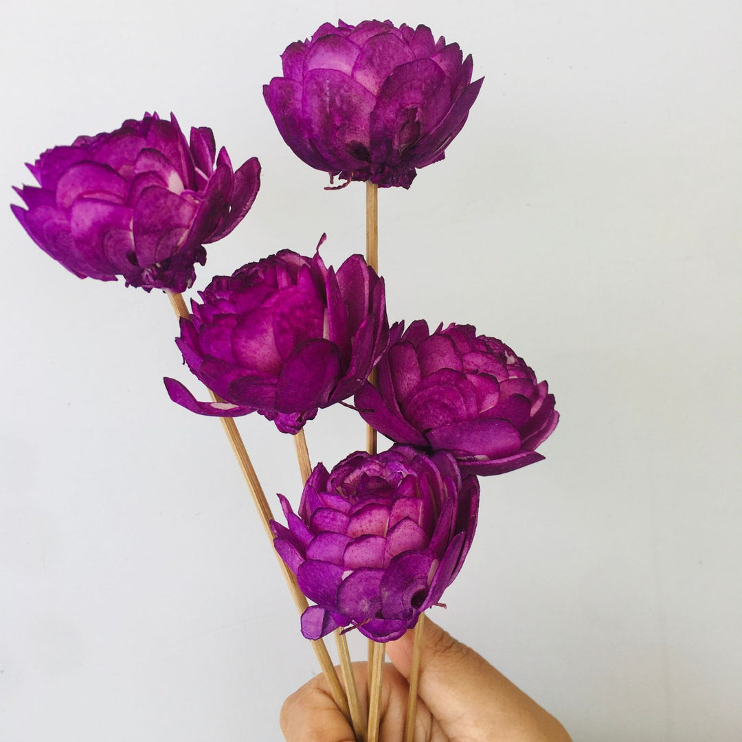 Ombre Mauve Sola Flower | Home Decor | Table Decor | Gifting