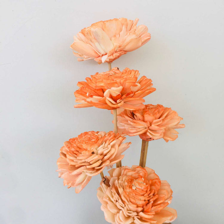 Ombre Peach Sola Flower | Home Decor | Gifting | Table Decor