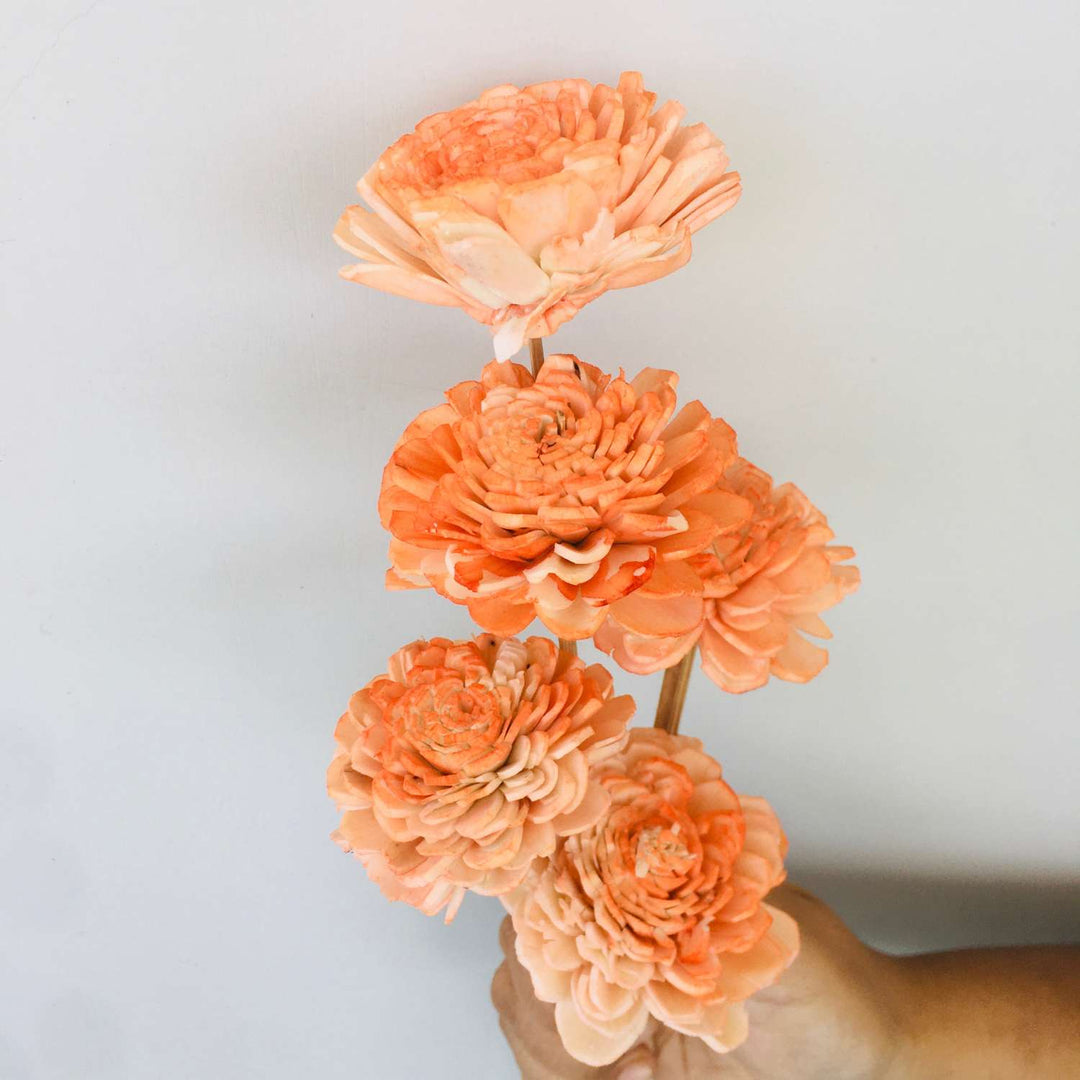 Ombre Peach Sola Flower | Home Decor | Gifting | Table Decor