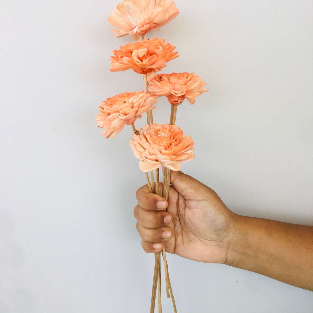 Ombre Peach Sola Flower | Home Decor | Gifting | Table Decor