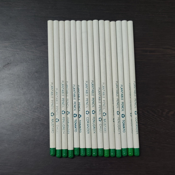 Recycled Paper Pencil | School or Office Stationery | Gift Pack of 10