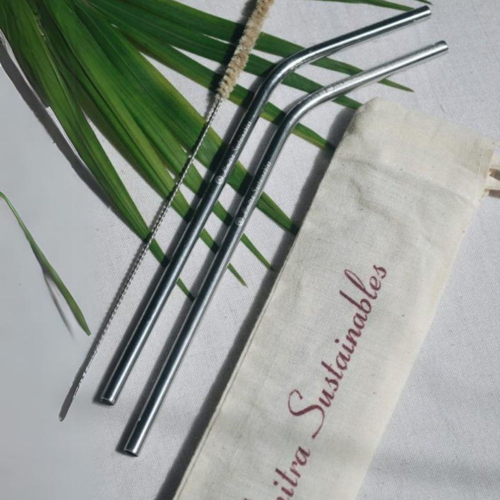 Stainless Steel Bent Straws | Pack Of 2 | With Straw Cleaner | Easy Clean