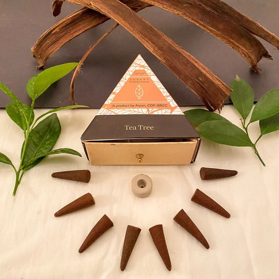 Tea-Tree Incense Cone, Hand-Rolled, Organic, Camphor-Mint |Smell, Aromatherapy, Fresh homes