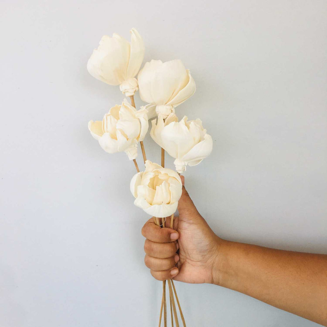 Tree Peony Sola Flower | Home Decor | Gifting | Table Decor