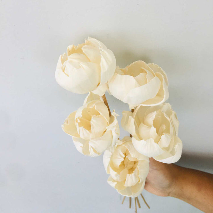 Tree Peony Sola Flower | Home Decor | Gifting | Table Decor