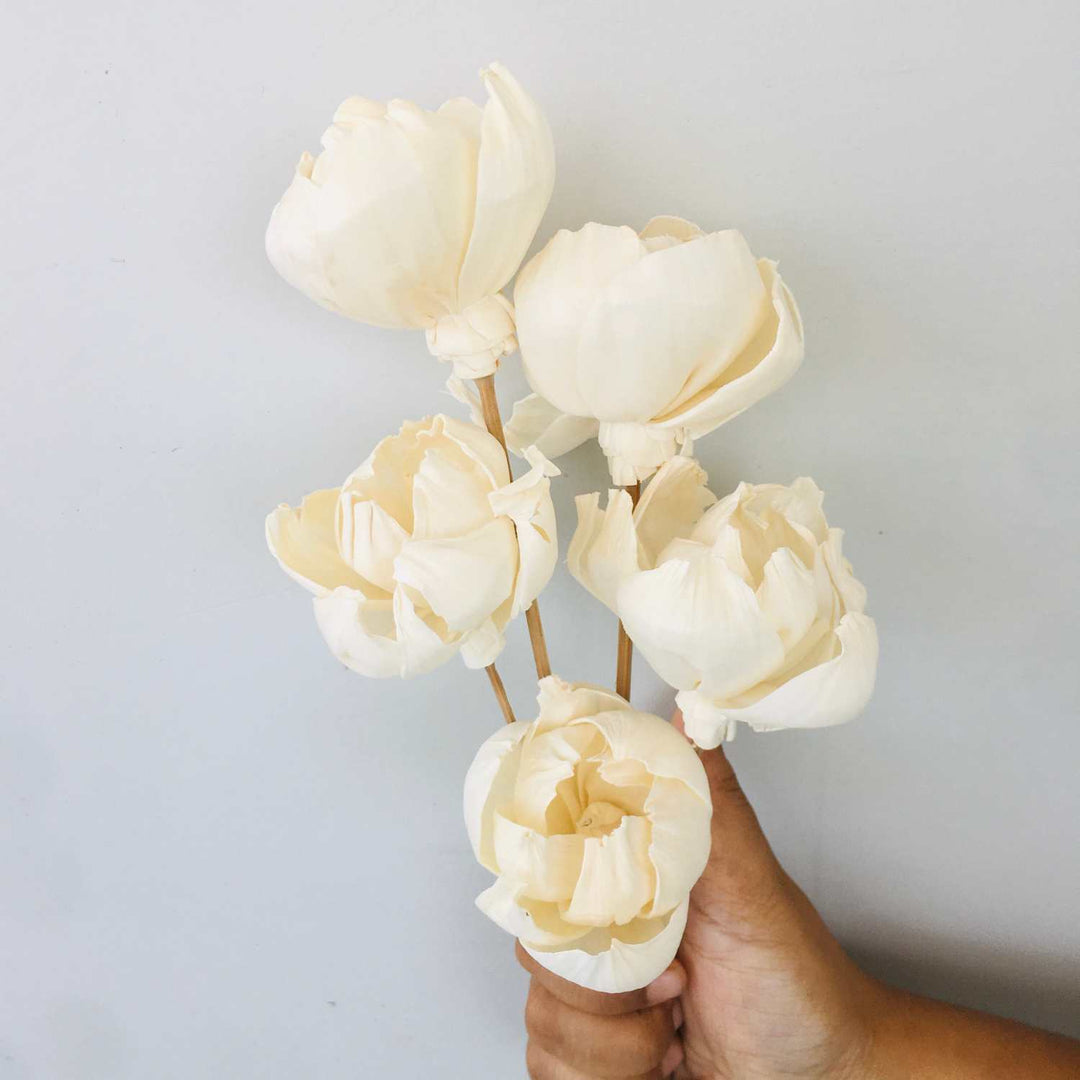 Tree Peony Sola Flower | Home Decor | Gifting | Table Decor