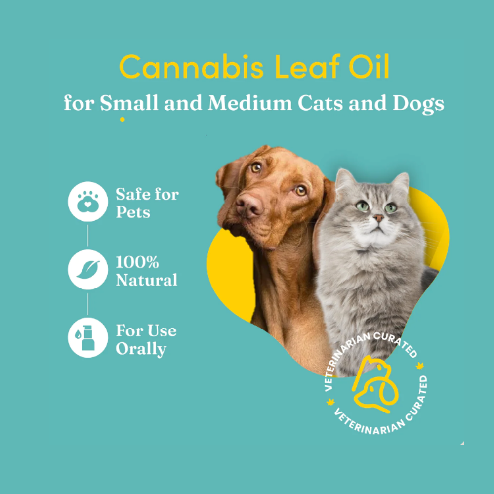 Dog & Cat Pain Relief Oil | Eases Inflammation | Aides Digestion | Mild | 30 ML