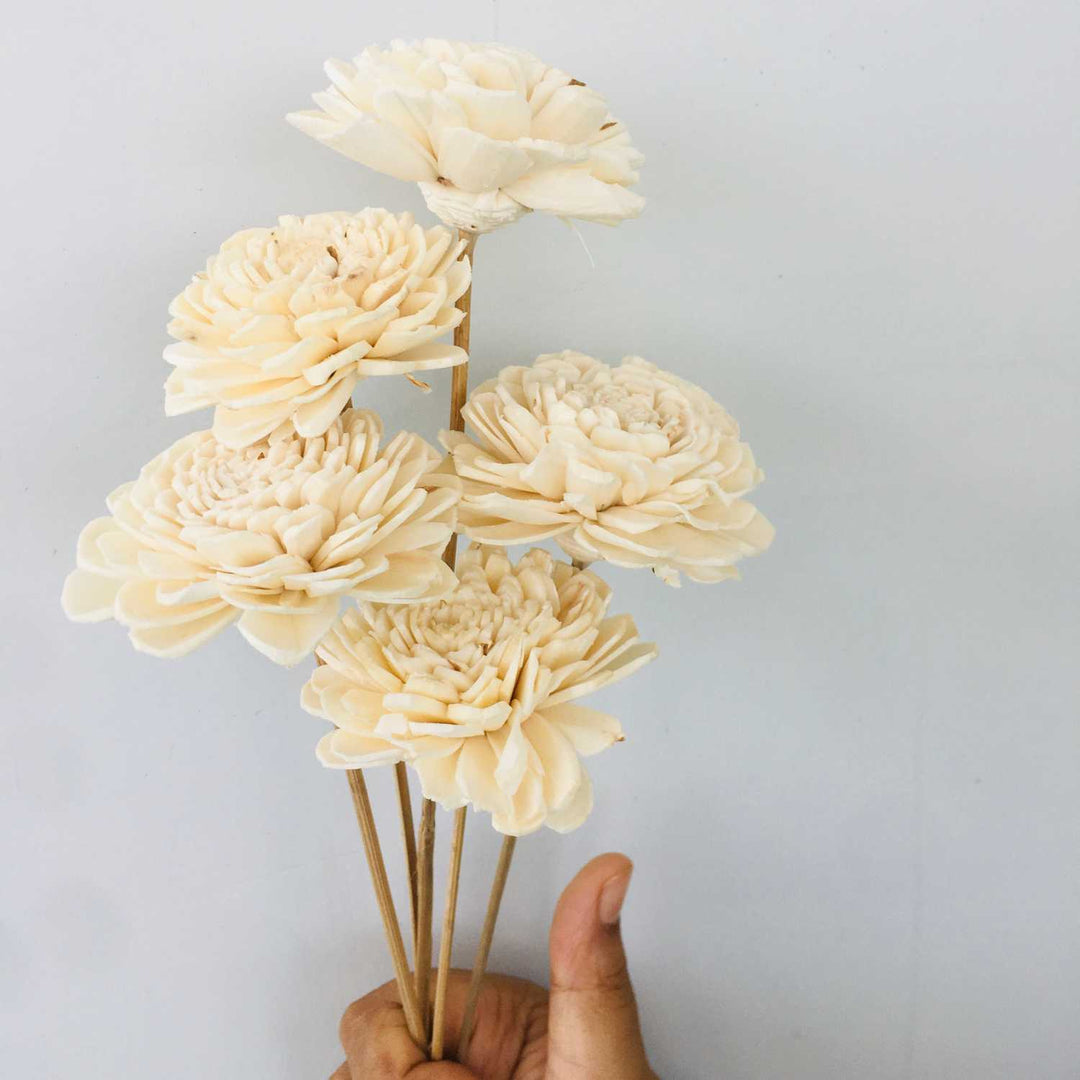 Zinnia Sola Flower | Home Decor | Gifting | Table Decor