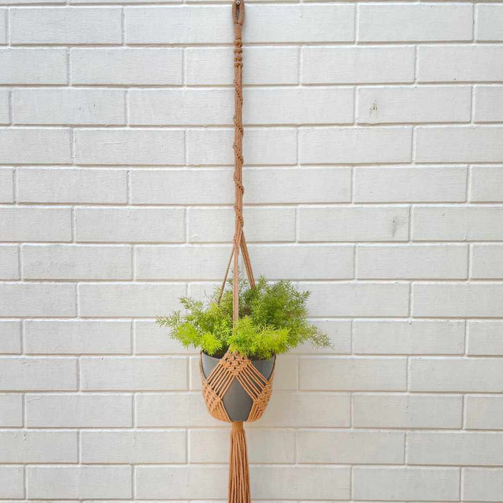 Bohemian Style Hand-Crafted Hanging Planter | Macrame | Hand-Made | Assorted Colours | 36 inch